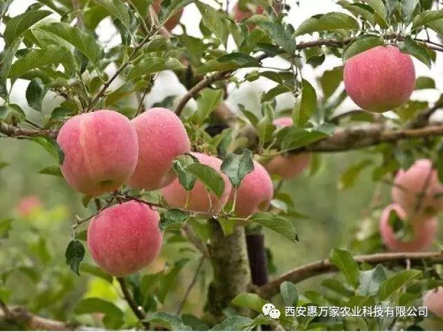 &#107;&#97;&#105;&#121;&#117;&#110;&#20307;&#32946;&#23448;&#26041;&#32593;&#31449;&#20840;&#31449;&#20837;&#21475;&#40;&#107;&#97;&#105;&#121;&#117;&#110;&#41;&#40;&#20013;&#22269;&#41;&#23448;&#32593;&#20837;&#21475;&#30331;&#24405;